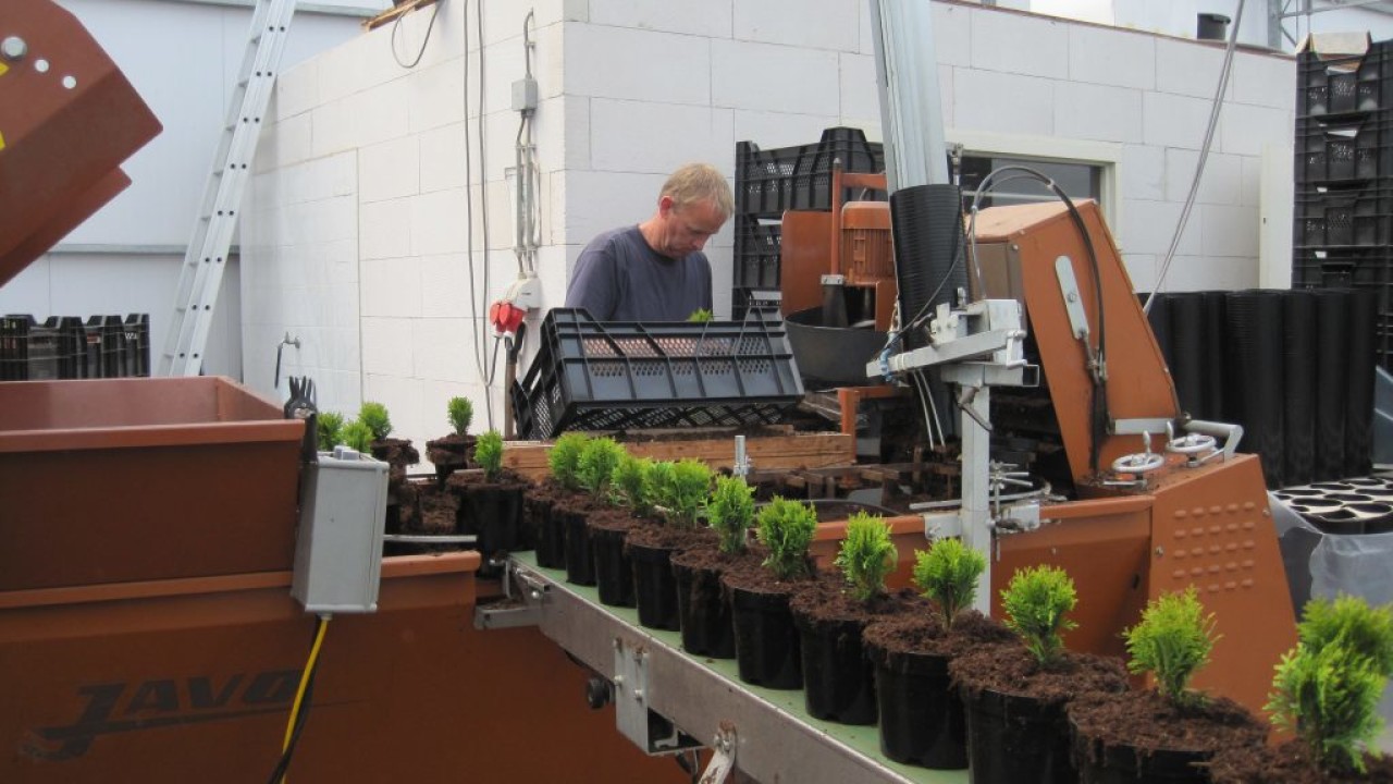 Boomkwekerij Wil de Kroon Steensel afbeelding 1